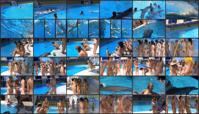 Amazing Dolphin Encounter – A Heartwarming Journey with Nature at Candid-HD.com